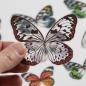 Mobile Preview: Tim Holtz TRANSPARENT WINGS