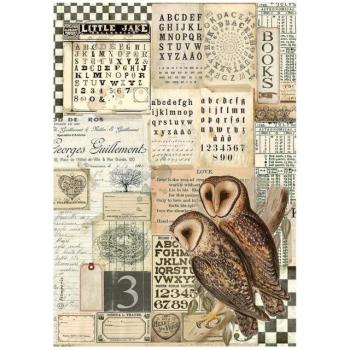 DFSA4664 Alchemy OWLS - Stamperia Reispapier